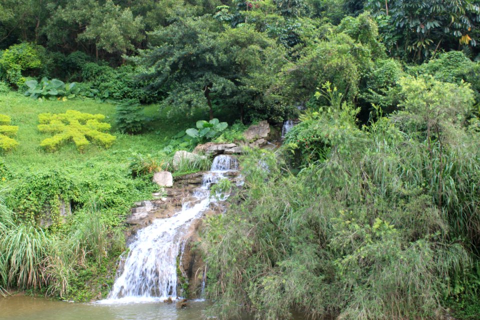 Mingcui Lake of Shenzhen International Garden and Flower Expo Park2