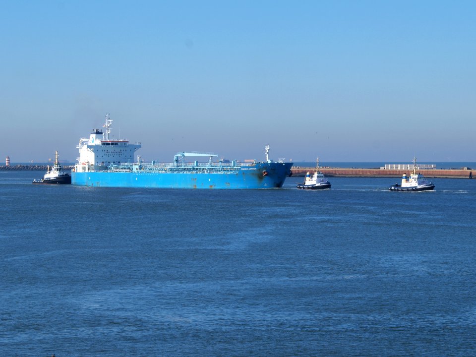 Minerva Antonia - IMO 7700180 at IJmuiden, Port of Amsterdam photo-5