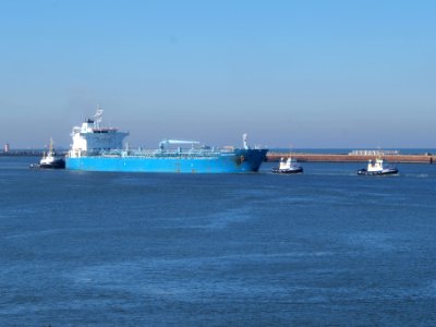 Minerva Antonia - IMO 7700180 at IJmuiden, Port of Amsterdam photo-5