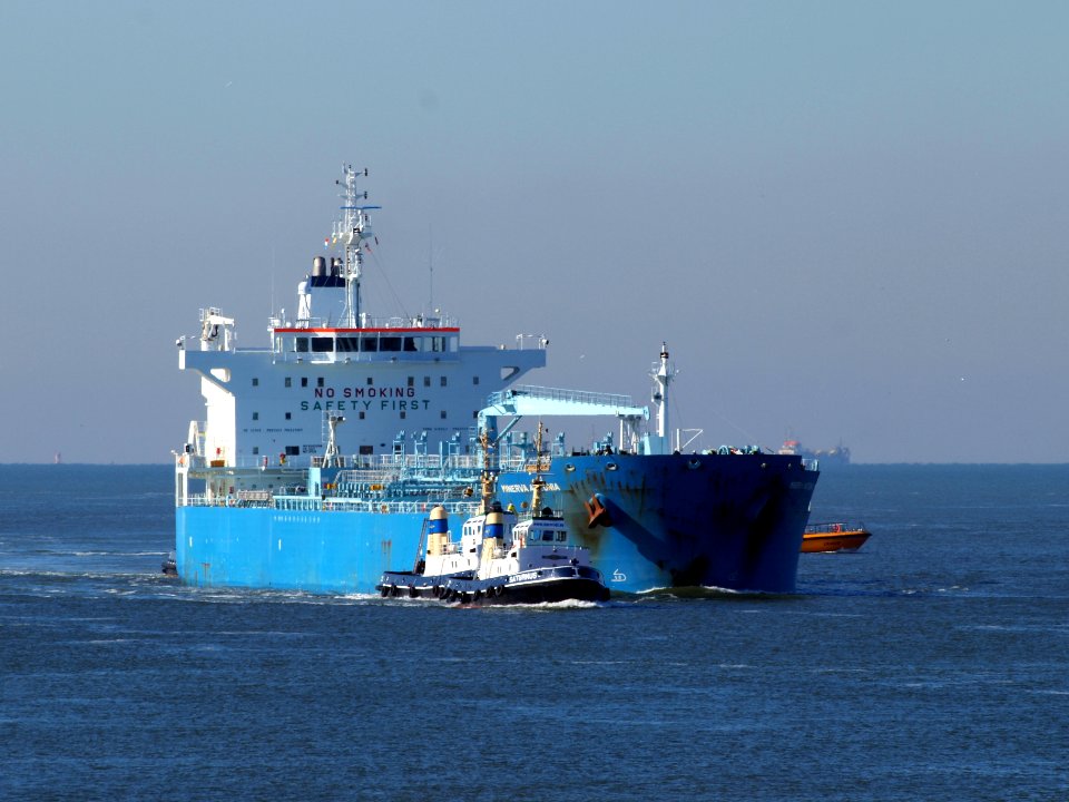 Minerva Antonia - IMO 7700180 at IJmuiden, Port of Amsterdam photo-3