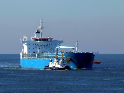 Minerva Antonia - IMO 7700180 at IJmuiden, Port of Amsterdam photo-3