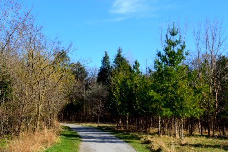 MilneDamConservationPark11
