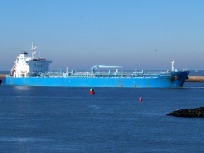 Minerva Antonia - IMO 7700180 at IJmuiden, Port of Amsterdam photo-7