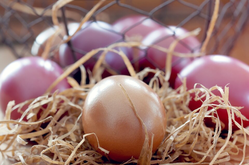 Easter colored colorful eggs