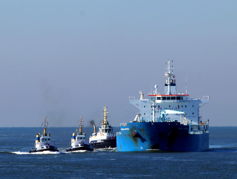 Minerva Antonia - IMO 7700180 at IJmuiden, Port of Amsterdam photo-1