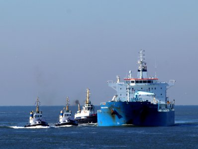 Minerva Antonia - IMO 7700180 at IJmuiden, Port of Amsterdam photo-1