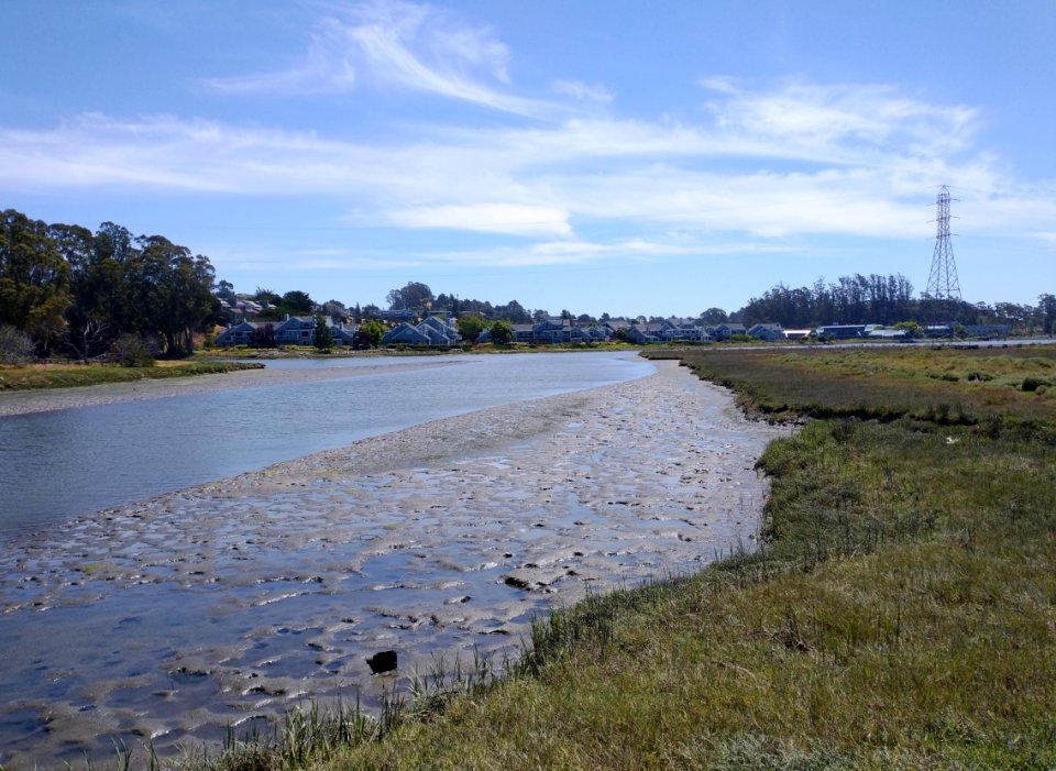 Mill-valley-apartments-and-wetlands