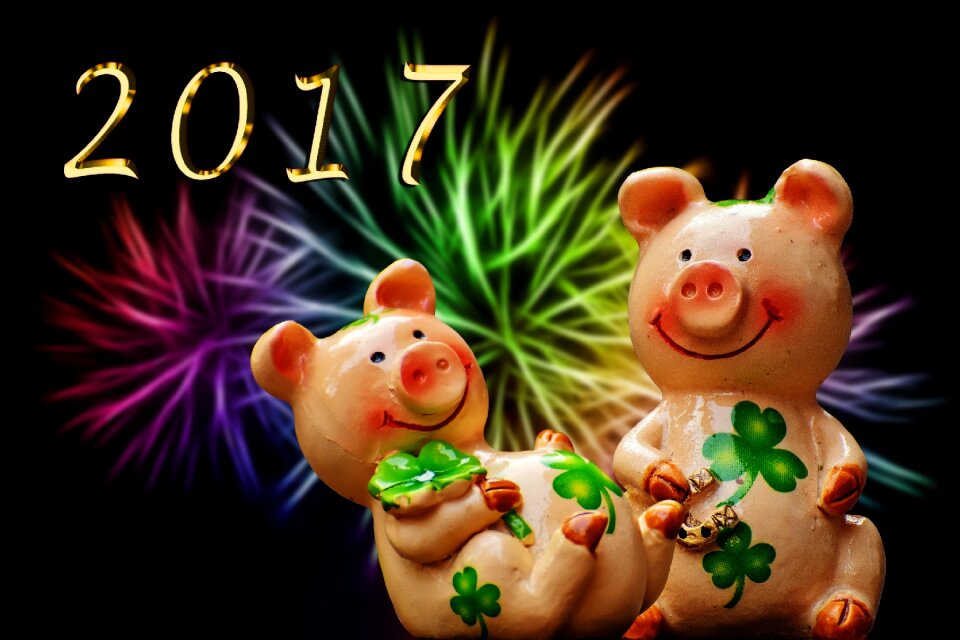Cute lucky charm sow