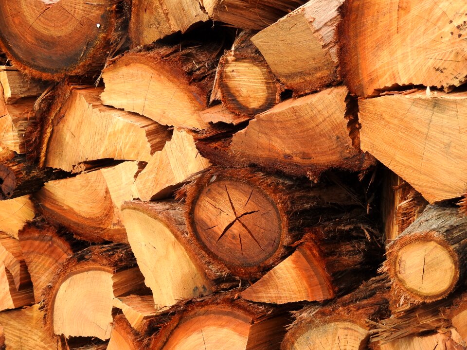 Background wood background winter wood