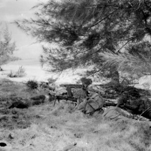 Militairen met brenguns bij een wachtpost, Bestanddeelnr 255-8261
