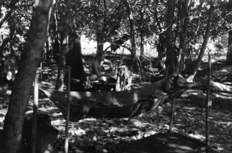 Militairen rusten in de schaduw van bomen, Bestanddeelnr 864