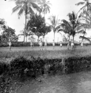 Militairen spelen volleybal, Bestanddeelnr 15898