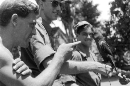 Militairen spelen met een inheemse vogel (een soort parkiet), Bestanddeelnr 232