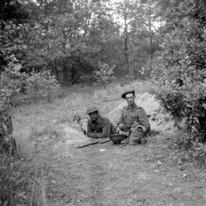 Militairen van de Irish Guards ingegraven aan de bosrand van Aalst, Bestanddeelnr 255-9015