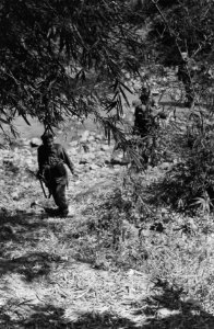 Militairen lopen patrouille, Bestanddeelnr 1630