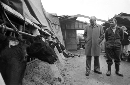 Minister Fons van der Stee bij veehouder Ynse Stienstra in Beetgumermolen, Fries, Bestanddeelnr 930-1389