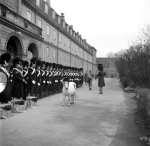 Militairen van de koninklijke lijfwacht in de kazerne bezig met de voorbereiding, Bestanddeelnr 252-8712