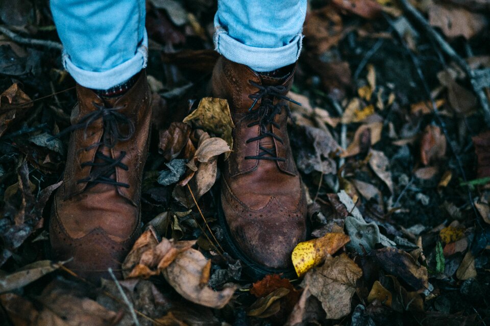 Footwear leaves shoes