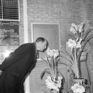 Minister Luns opent Keukenhof in Lisse, aan een bloem ruikend, Bestanddeelnr 916-2266