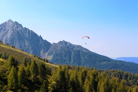Flying outdoor nature