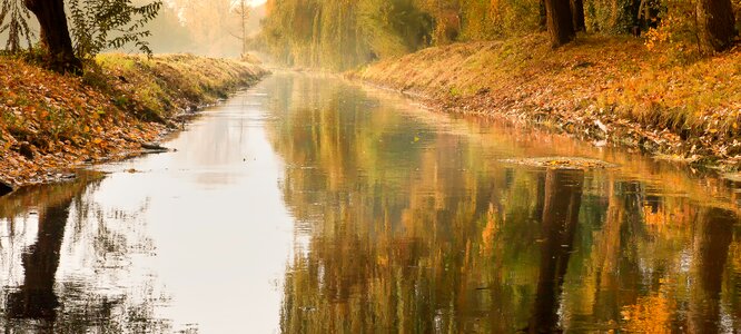 Niederrhein water forest photo