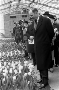 Minister Luns opent Keukenhof in Lisse, rondgang, Bestanddeelnr 916-2268