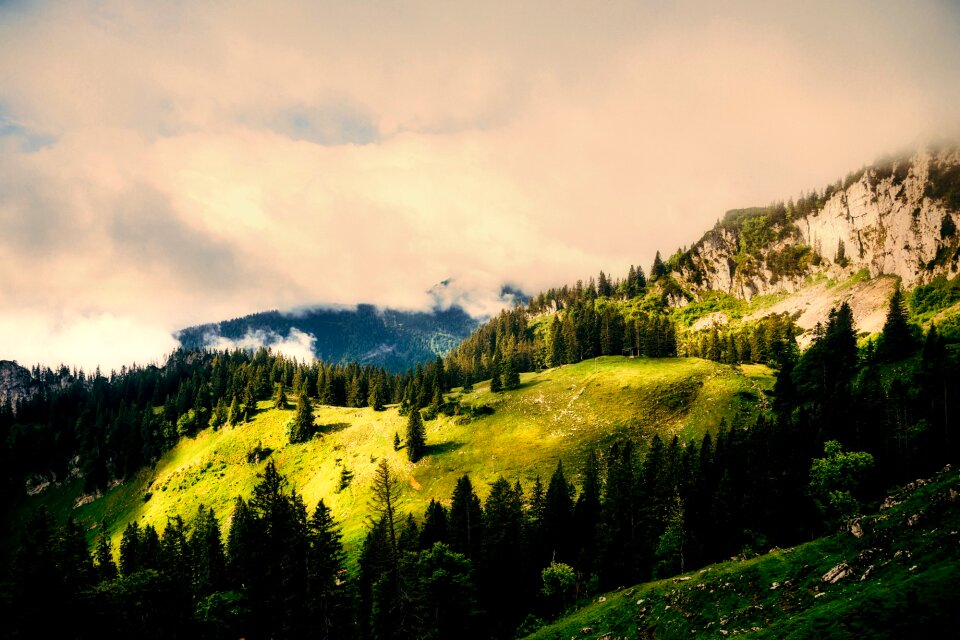 Mountains forest trees photo