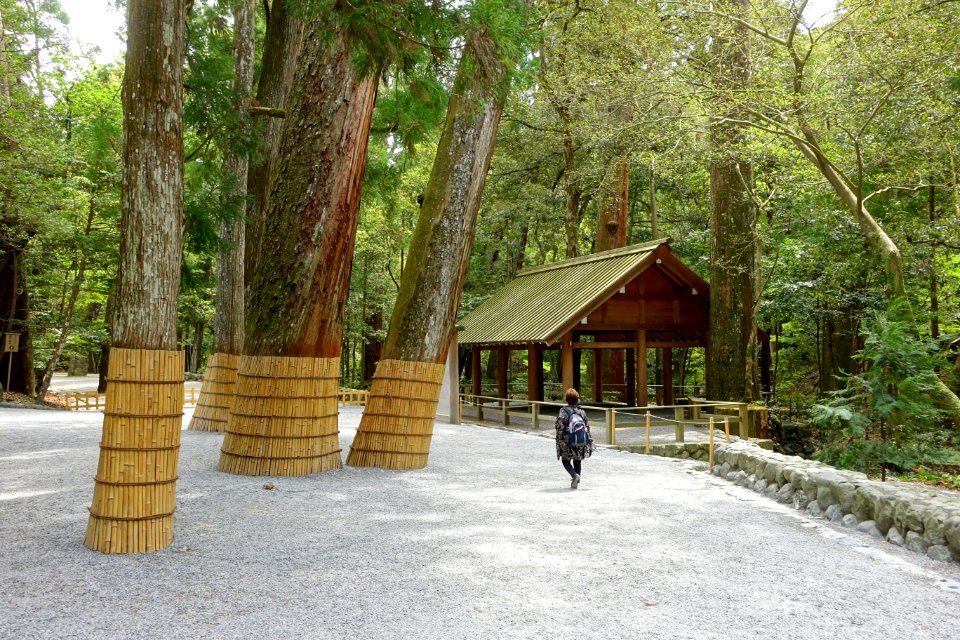 Minie Chosha (御贄調舎) sacrifice building - Naiku, Ise Shrine - Ise, Mie, Japan - DSC07678