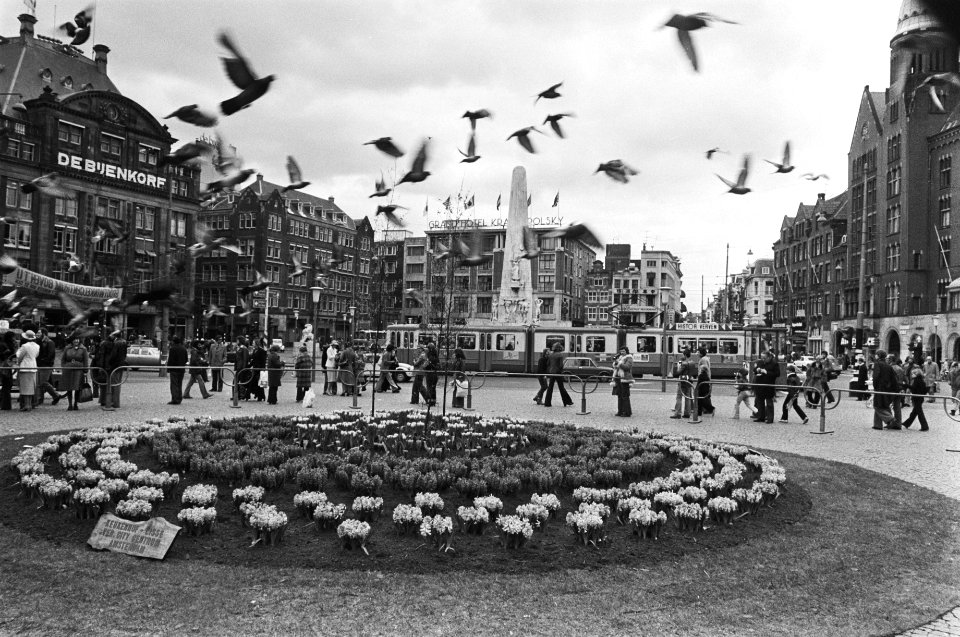 Mini-keukenhof op Dam in Amsterdam, Bestanddeelnr 928-4996