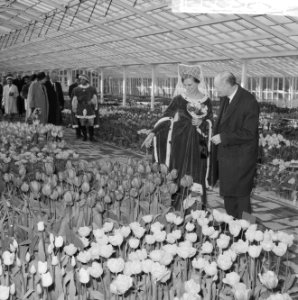 Minister Bot , de Keukenhof te Lisse geopend, in de kassen, Bestanddeelnr 917-5919