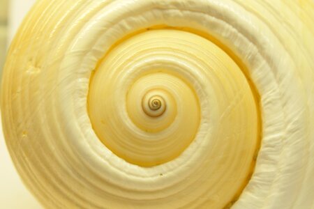 Background structure infinite