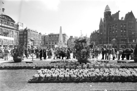 Mini-Keukenhof op Dam in Amsterdam, Bestanddeelnr 929-1159