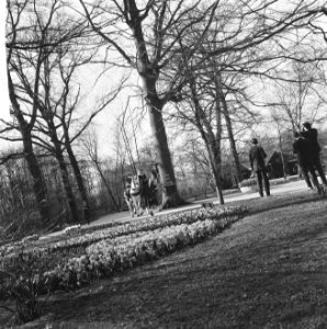 Minister Bot, de Keukenhof te Lisse geopend, Jacoba van Beijeren toont minister , Bestanddeelnr 917-5914