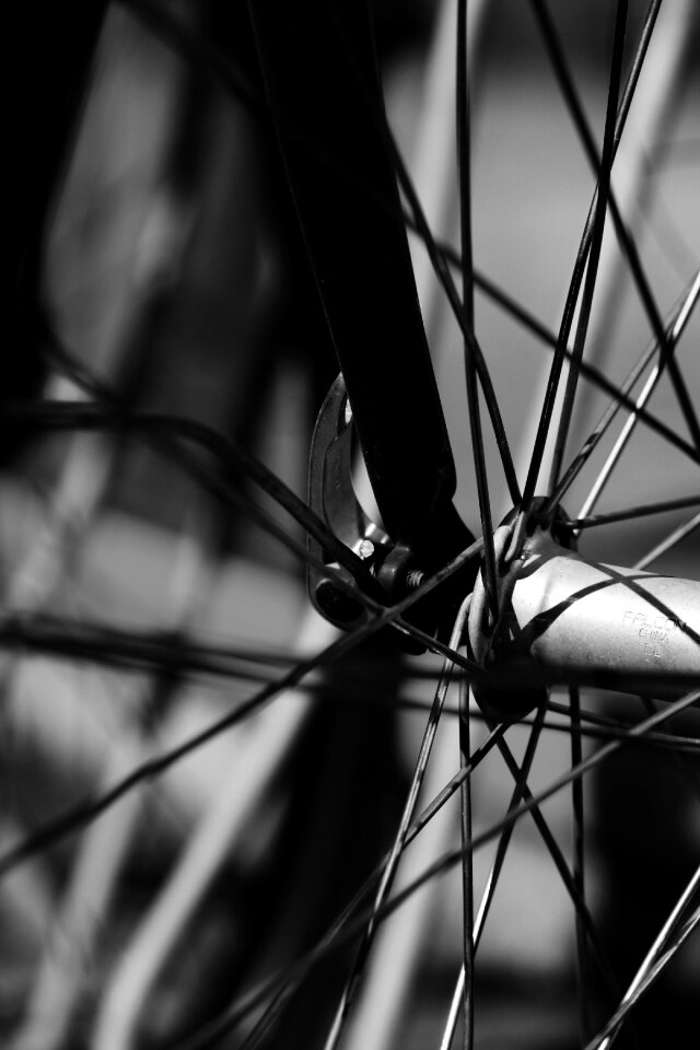 Cycle bike gray bike