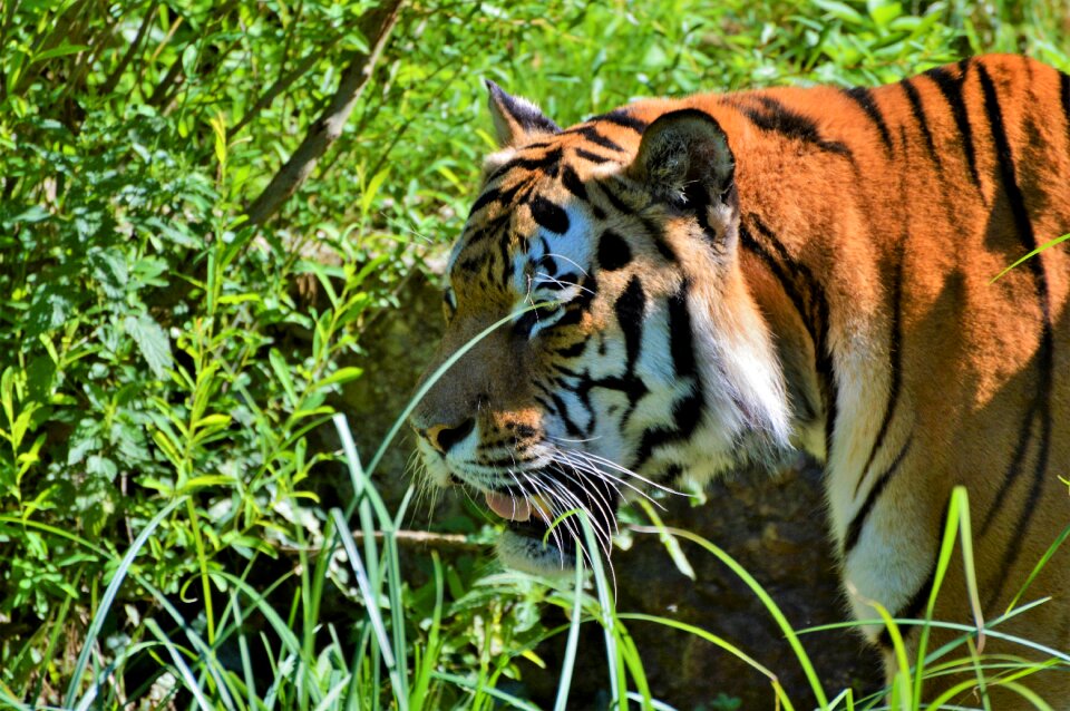 Tiergarten zoo tierpark hellabrunn