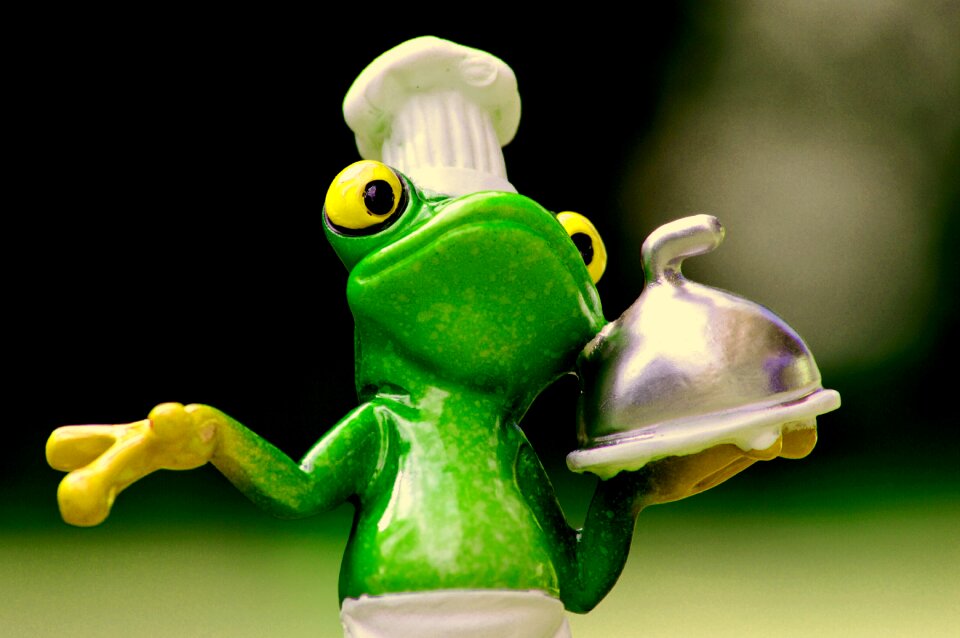 Kitchen gourmet food