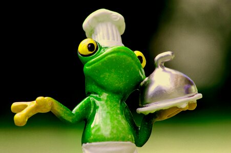 Kitchen gourmet food