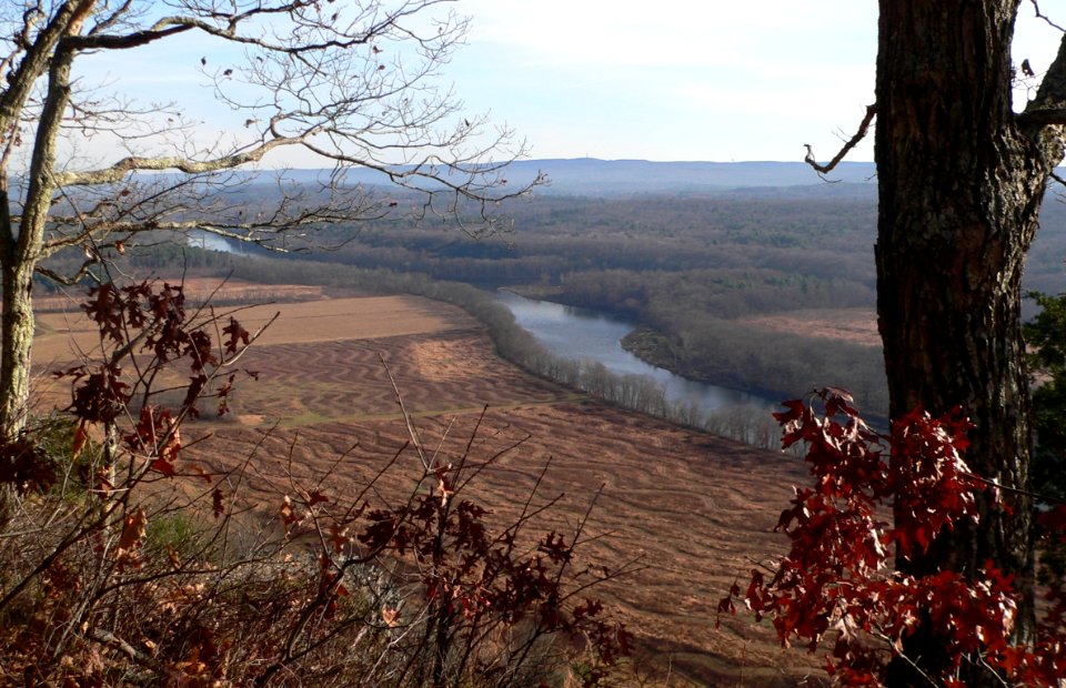 Minisink Island upstream end 3