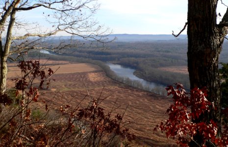 Minisink Island upstream end 3