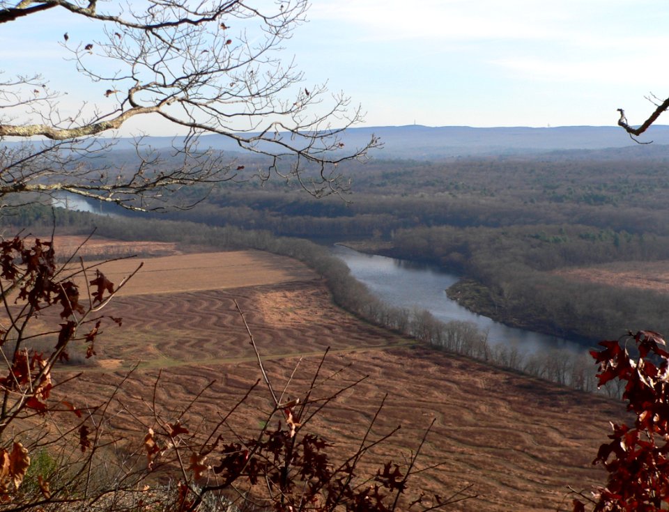 Minisink Island upstream end 4