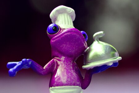 Kitchen gourmet food