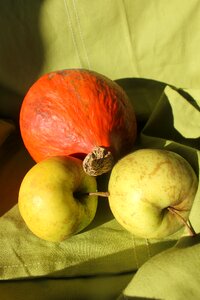 Fruits autumn decoration
