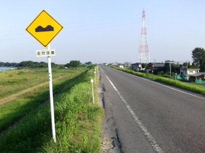 Mie Pref r-168 Rough surface