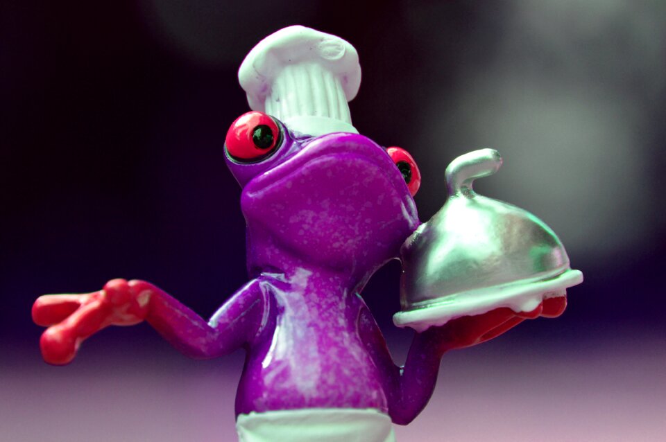 Kitchen gourmet food