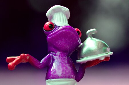 Kitchen gourmet food