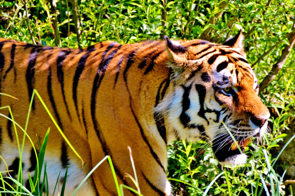 Tiergarten zoo tierpark hellabrunn