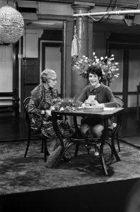 Mies en Scene. Mevrouw Leembrugge (schrijfster Het Hazenboekje ) bij Mies Bou, Bestanddeelnr 921-7950