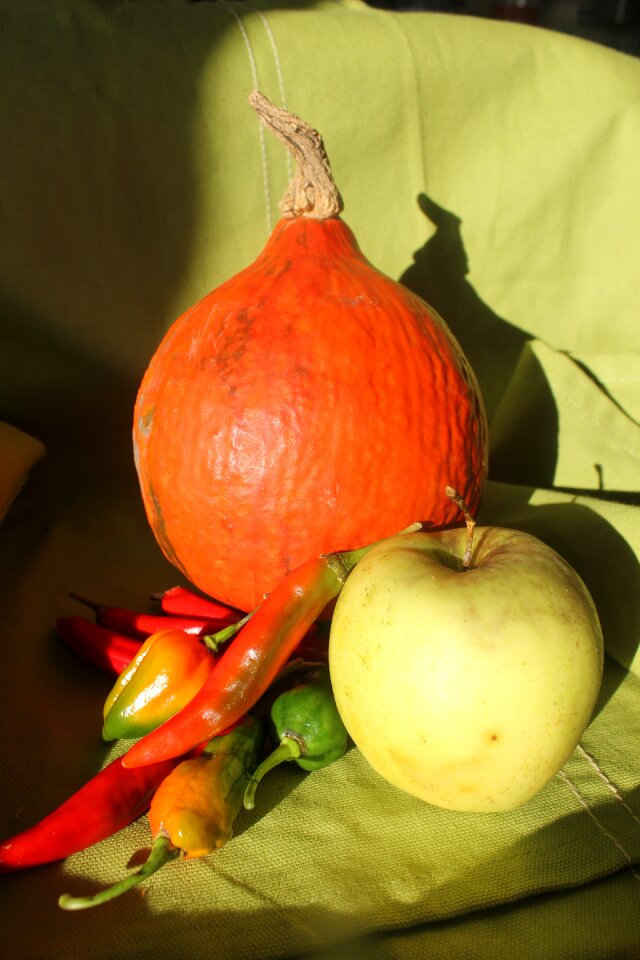 Autumn decoration pepper