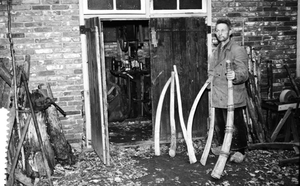 Midwinterhoornmaker aan het werk, Bestanddeelnr 909-0834