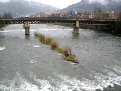Mieres - río Caudal 1